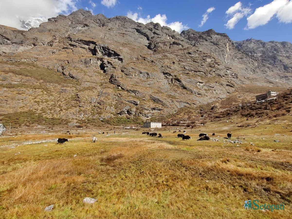 langtang (16).jpeg